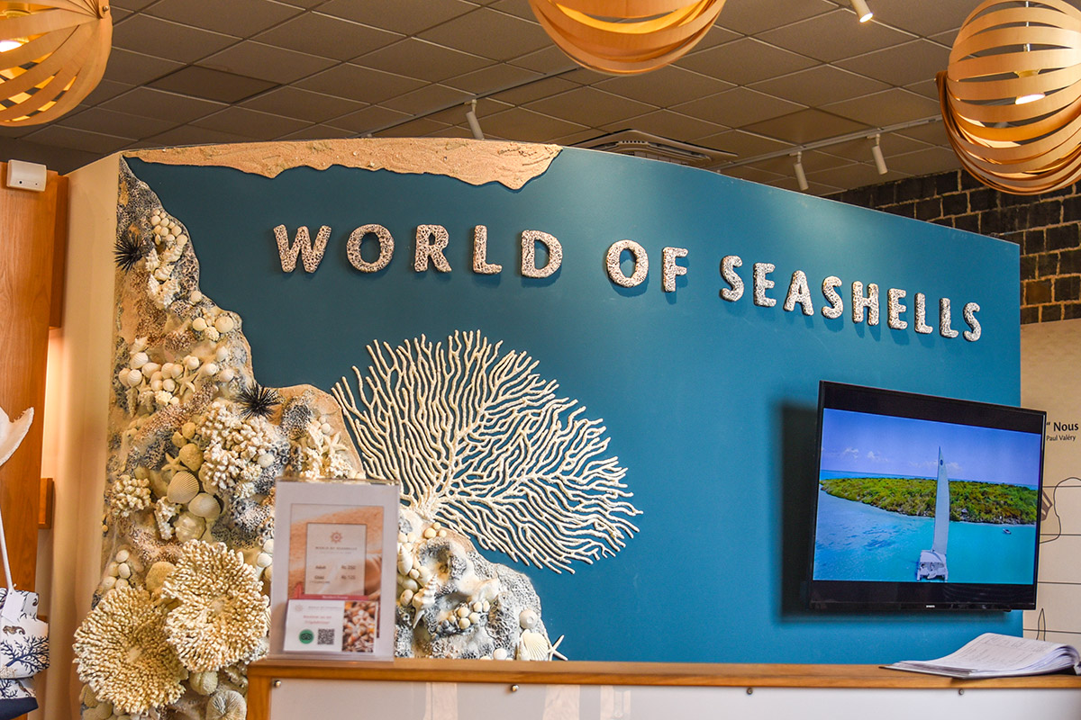 UN Winners tour in Bel Ombre - World of Seashells (1)