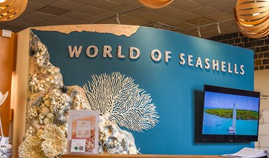 UN Winners tour in Bel Ombre - World of Seashells (1)