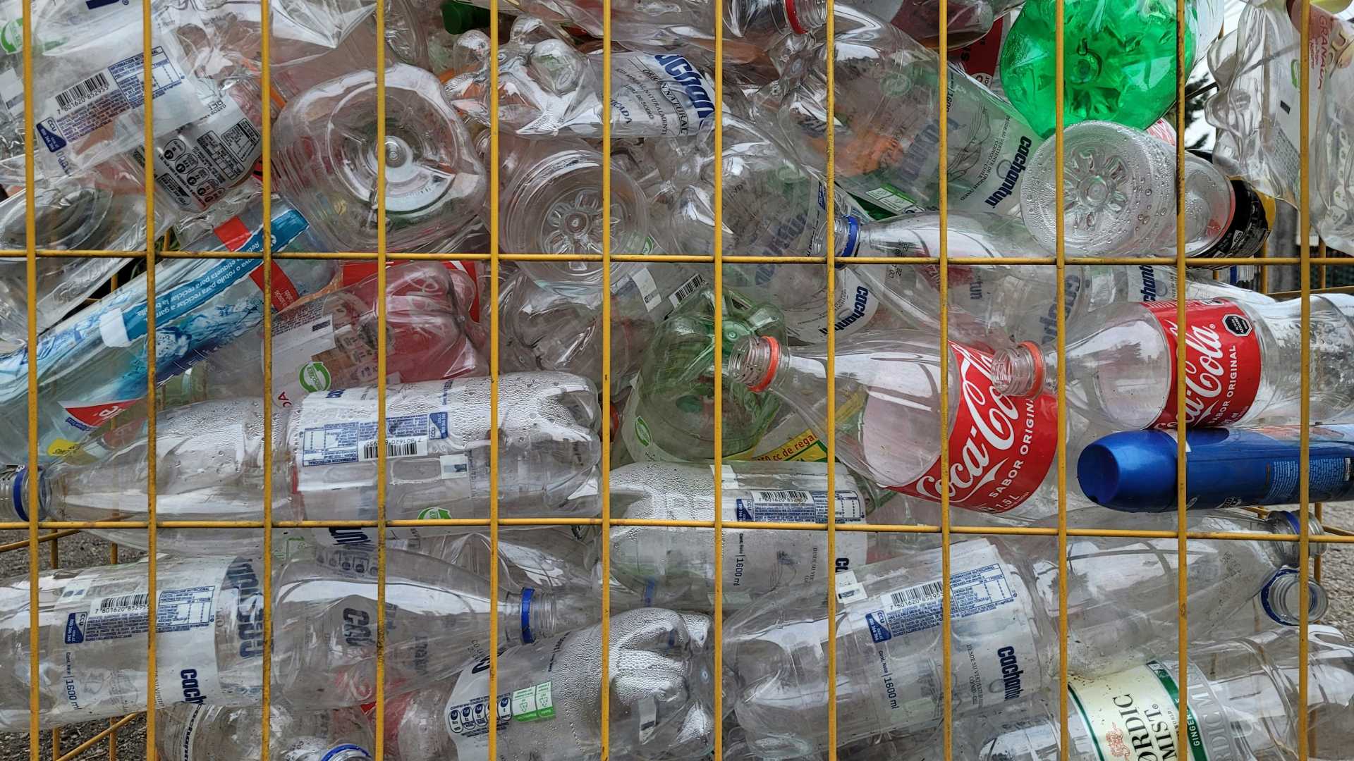Scaling local recycling with Plastic Odyssey’s micro-factory