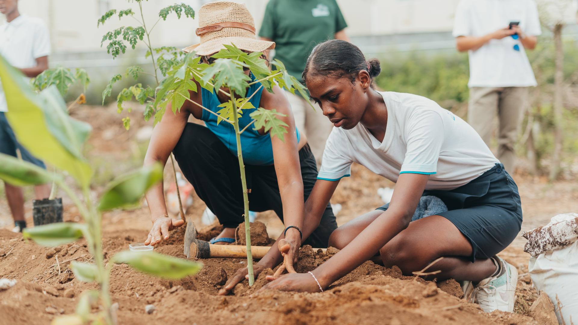 club terre - nft fund project