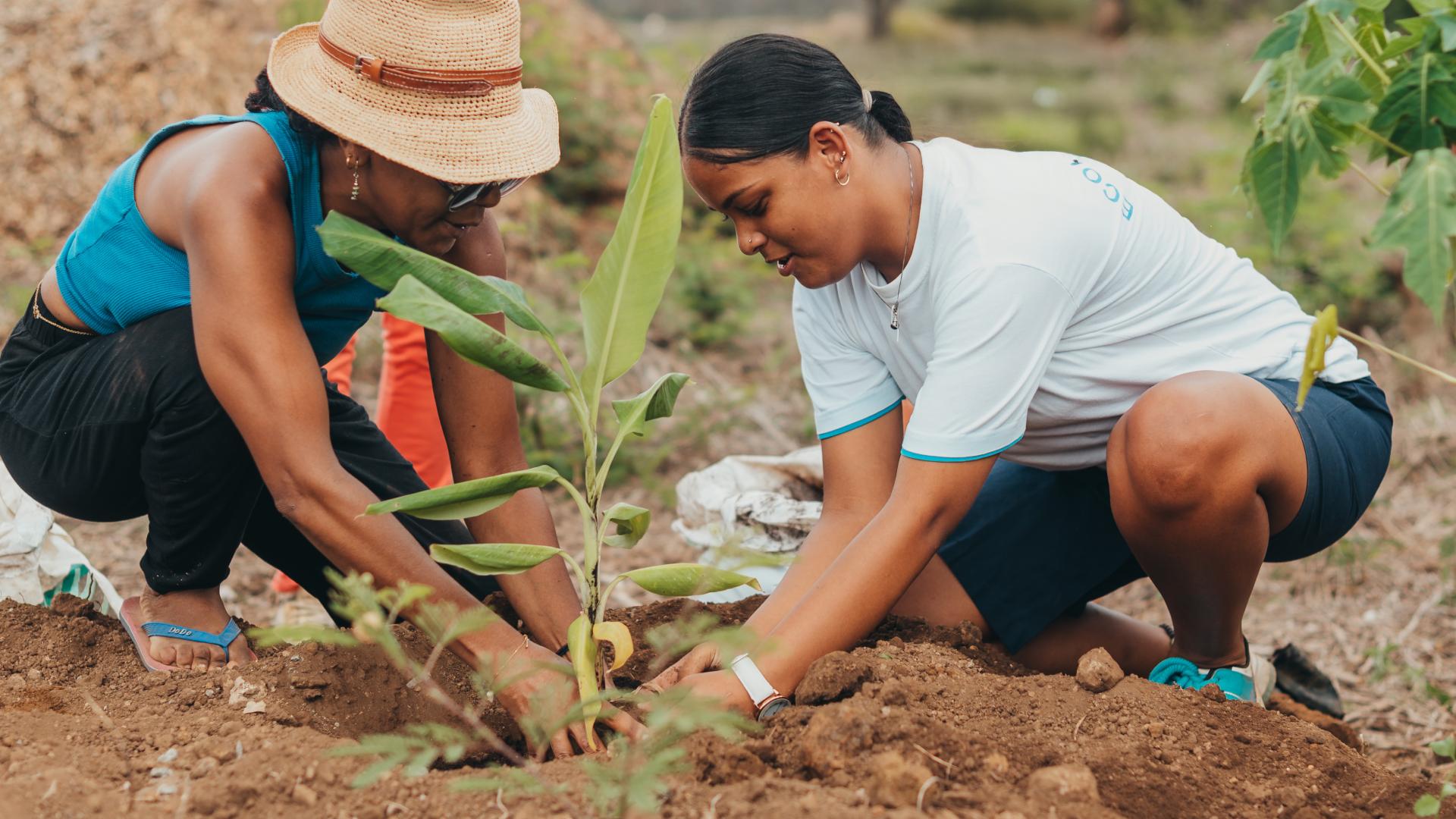 Reconnecting youth to nature with Club Terre