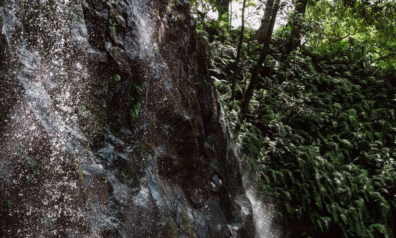 Panoramic view of a forest landscape with cascading waterfall